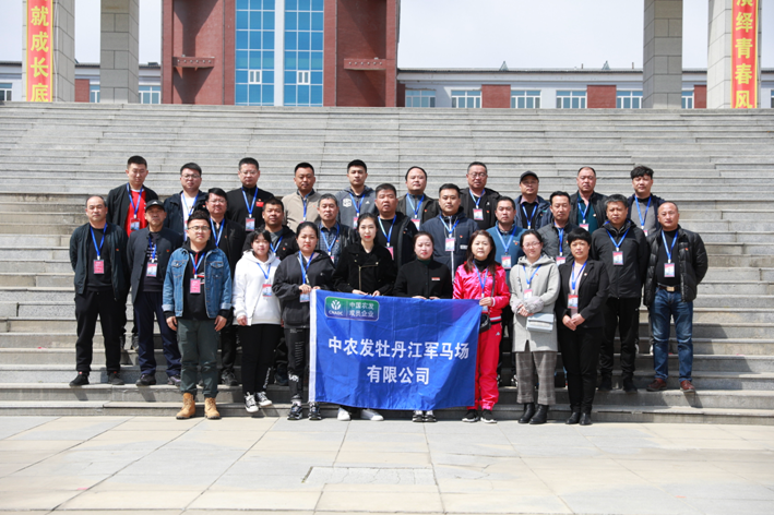 图片13.png