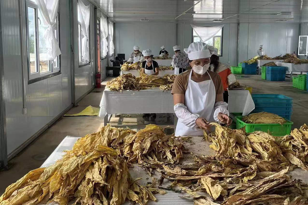 微信图片_20220908094331.jpg