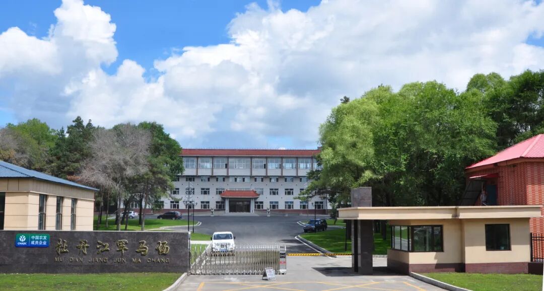 凝心筑梦 共启新程——牡丹江马场2026年迎新年联欢会圆满举办